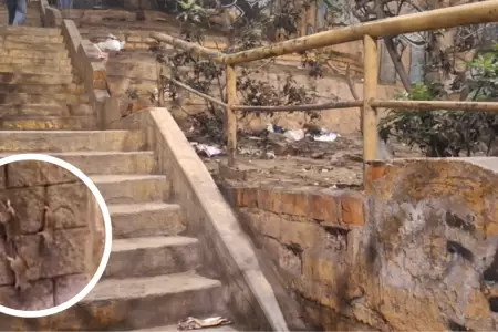 Roedores y contaminacin en puente peatonal de Santa Anita