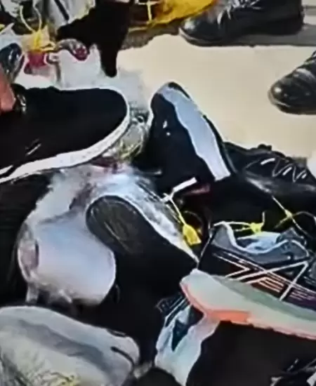 Zapatillas