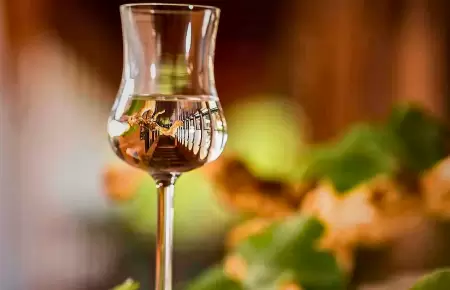 Pisco