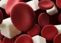 La ruta de la glucosa en el cuerpo: Nuevo estudio crea un mapa celular con recorrido de alta precisin