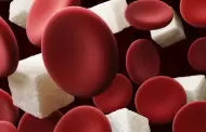 La ruta de la glucosa en el cuerpo: Nuevo estudio crea un mapa celular con recorrido de alta precisin