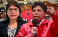 Subcomisin tendr 15 das hbiles para investigar denuncias contra expresidente Castillo y fiscal de la Nacin Delia Espinoza