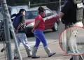 Mascotas aumentaron en refugios de Los ngeles tras operativos anti migratorios del ICE