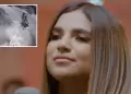 Susana Alvarado: Difunden el momento exacto del ataque de extorsionadores a su casa