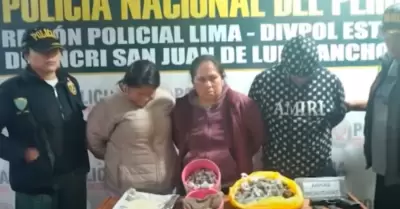 Capturan a 'Las Kitty de Bayóvar' en SJL