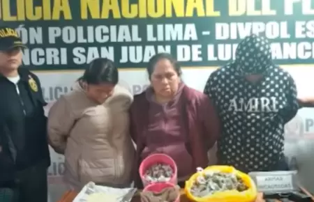 Capturan a 'Las Kitty de Bayvar' en SJL