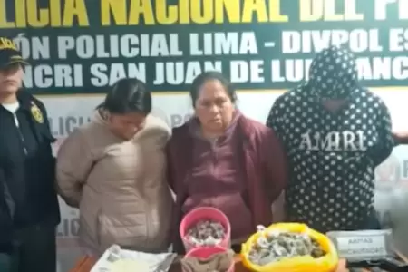 Capturan a 'Las Kitty de Bayvar' en SJL