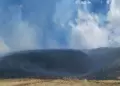 Puno: Extinguen incendio forestal en el sector Pichichuani