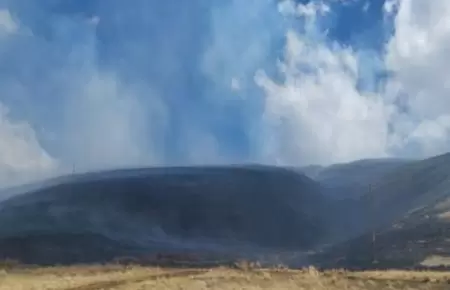 Extinguen nuevo incendio forestal en Puno.