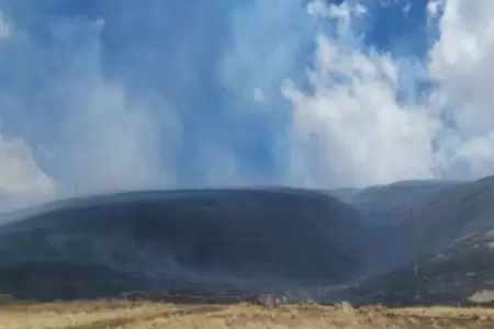 Extinguen nuevo incendio forestal en Puno.