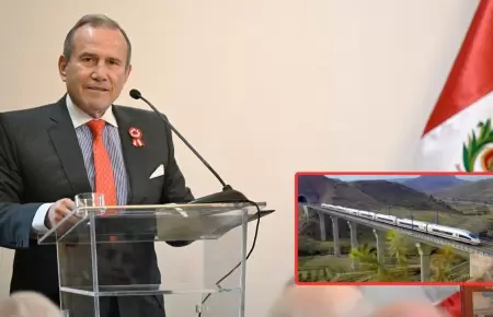 El puerto de Chancay es un nuevo factor para considerar el Tren Biocenico