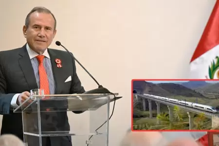 El puerto de Chancay es un nuevo factor para considerar el Tren Biocenico