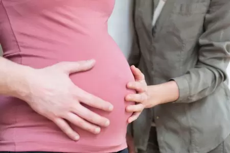Las madres subrogadas ms propensas a enfermedades mentales.