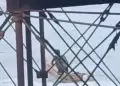 Alerta de tsunami en Per: Pescadores artesanales salen en sus caballitos de totora pese a riesgo