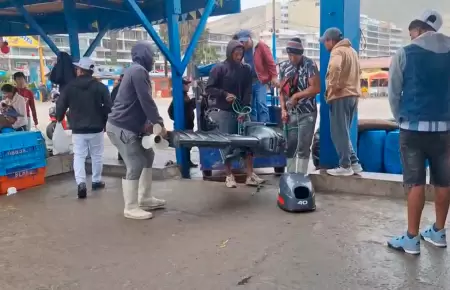 Alcalde de Ancn evaca a sus vecinos ante alerta de tsunami