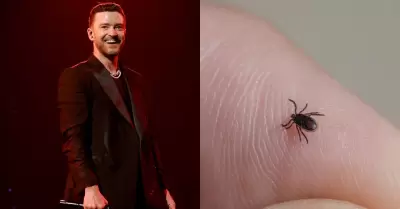Justin Timberlake confesó padecimiento de rara enfermedad.