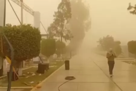 Vientos Paracas afectaron varios distritos de Ica.