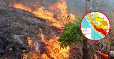 Incendio forestal
