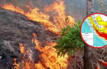 Incendio forestal