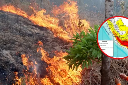 Incendio forestal