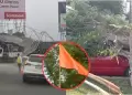 Alerta naranja de Senamhi en Lima: ciudadanos reportan accidentes producto fuertes vientos