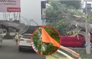 Alerta naranja de Senamhi en Lima: ciudadanos reportan accidentes producto de fuertes vientos