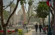 Tacna: Fuerte ventarrn deja sin energa elctrica a varios distritos y provoca cada de rboles y estructuras pblicas