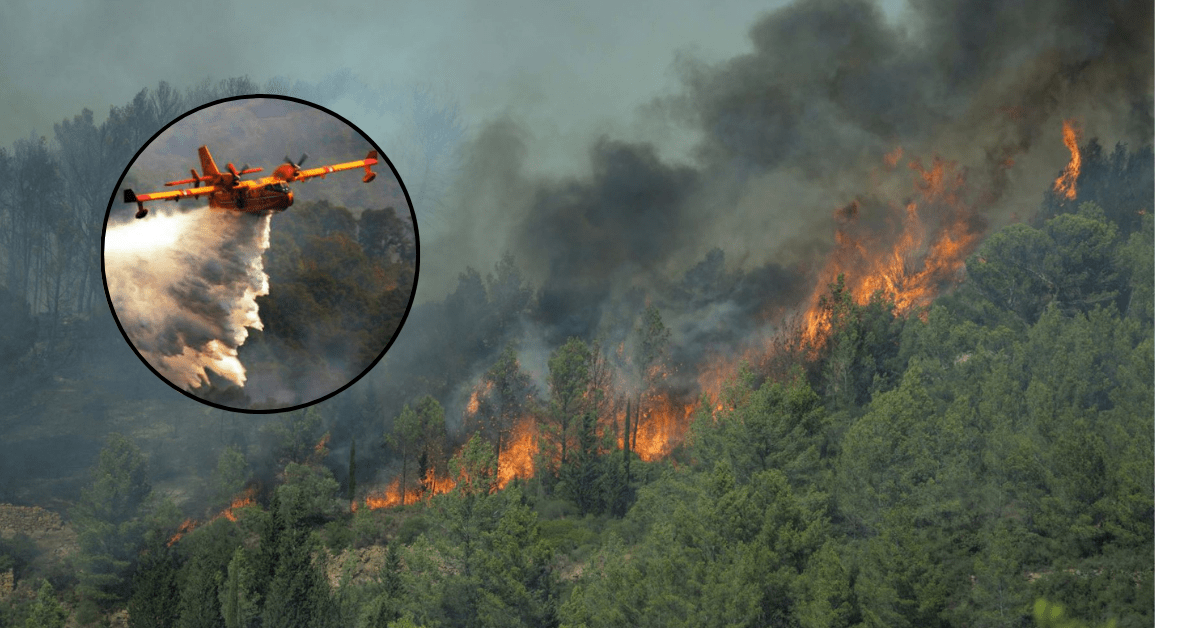 Francia en llamas: incendio de gran proporción consume 8 mil hectáreas al sur del país