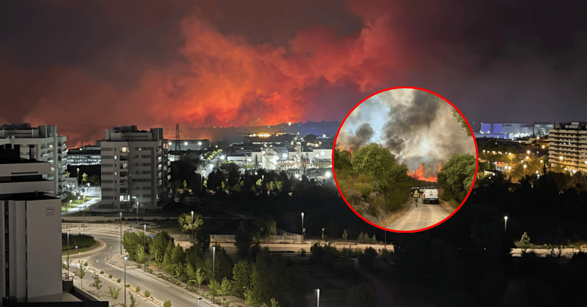 España en llamas: Incendios forestales azotan varias comunidades, arrasan con hectáreas y obligan a evacuar a miles de personas