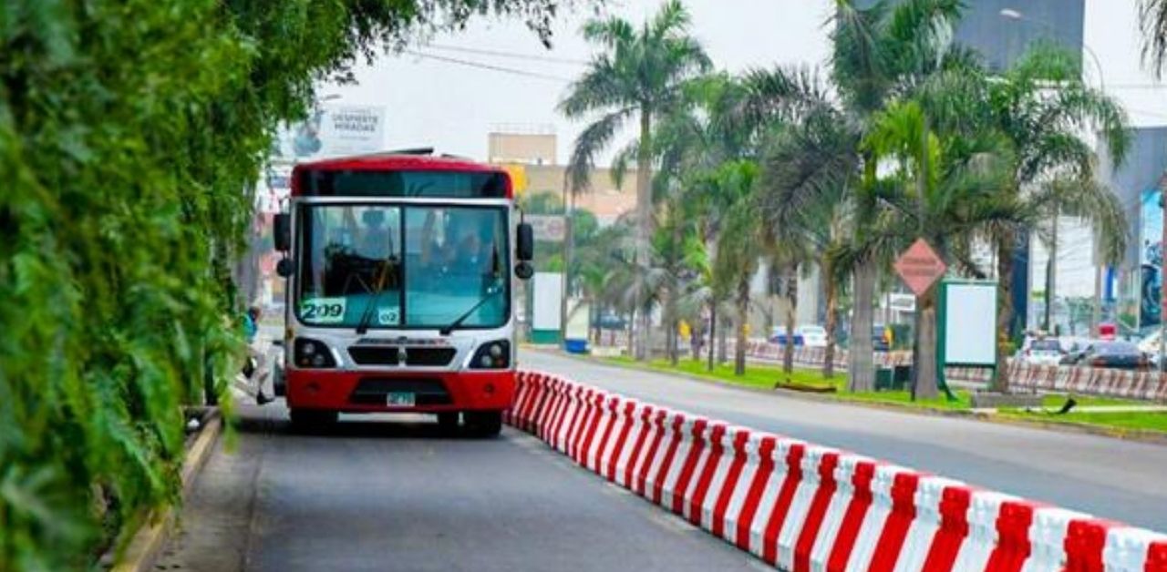 Corredor Rojo ampliará su ruta 204 y tendrá cuatro nuevos paraderos: Entérate dónde estarán ubicados