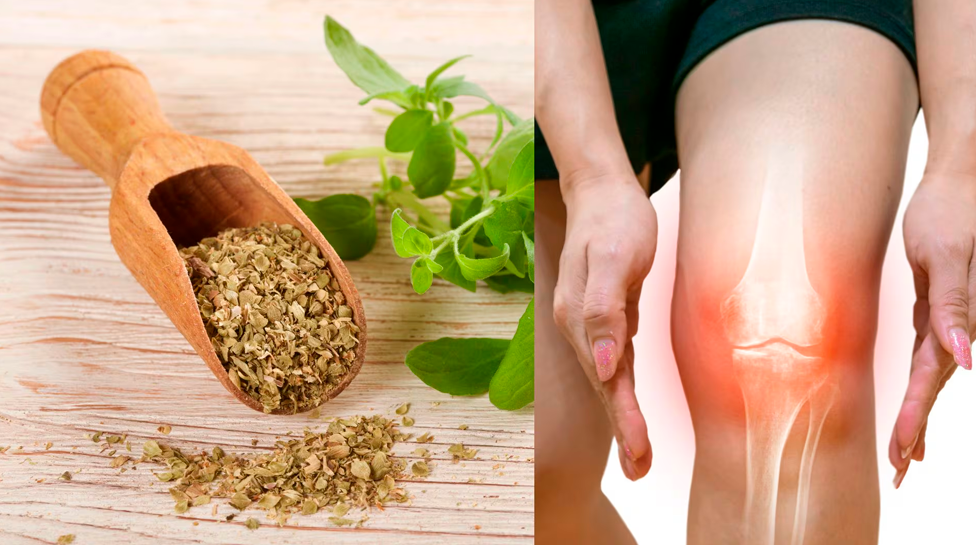 Organo: Hierba que ayuda a mitigar dolores de las articulaciones y calma el dolor de rodilla.