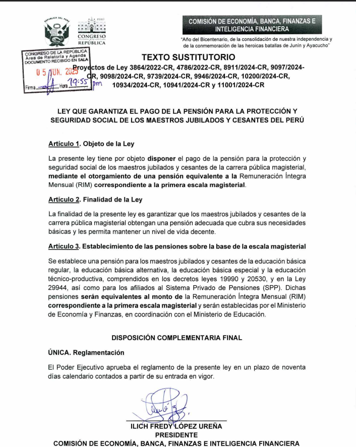 Texto sustitutorio