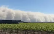 Vientos extremos en el Per: Qu hacer si sufro prdidas y cuento con seguro agrcola?