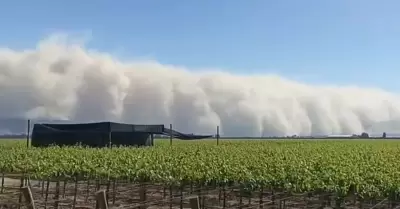Cmo actuar en caso de prdida agrcola si tengo seguro