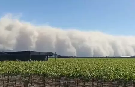 Cmo actuar en caso de prdida agrcola si tengo seguro