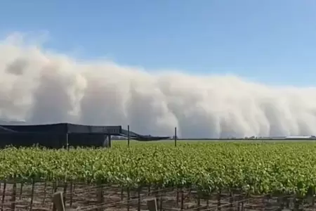 Cmo actuar en caso de prdida agrcola si tengo seguro