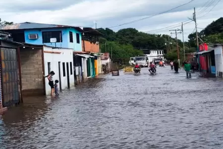 Se esperan lluvias de moderada intensidad en la selva.