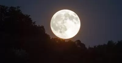 Per presenciar la Luna de Esturin: Cundo ocurrir este evento astronmico?