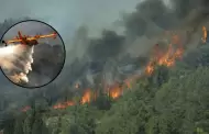 Francia en llamas: incendio de gran proporcin consume 8 mil hectreas al sur del pas