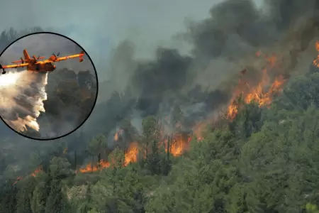 Francia en llamas: incendio de gran proporcin consume 8 mil hectreas al sur de