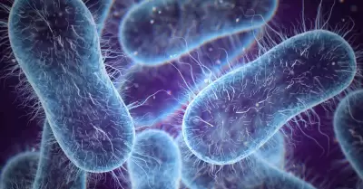 Bacteria ataca gravemente a la piel