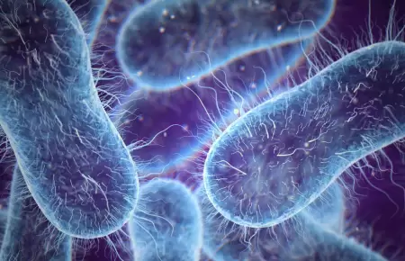 Bacteria ataca gravemente a la piel