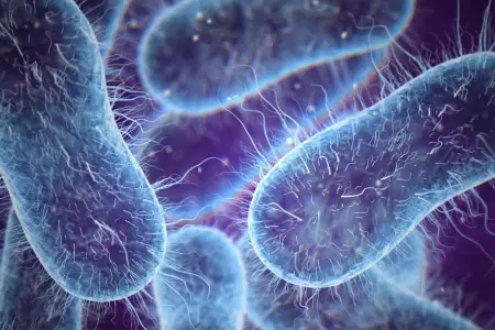 Bacteria ataca gravemente a la piel