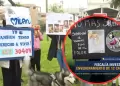 Fiscala investiga envenenamiento de 12 perros en parque de Los Olivos