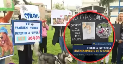Plantón por perros envenenados en los Olivos.