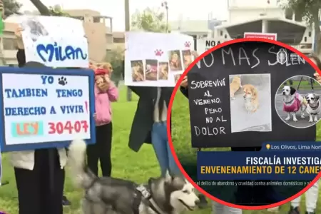 Plantn por perros envenenados en los Olivos.