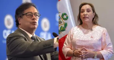 Per y Colombia han abandonado la Amazona, segn internacionalista