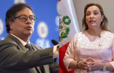 Per y Colombia han abandonado la Amazona, segn internacionalista