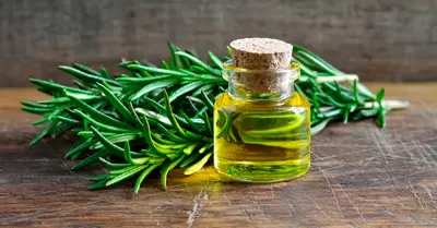 Beneficios del romero para tu salud.