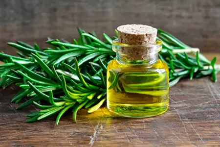 Beneficios del romero para tu salud.